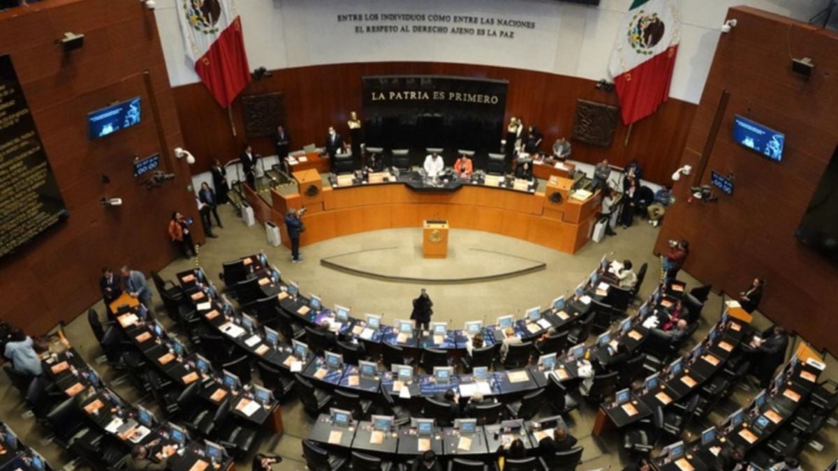 SENADO DE LA REPUBLICA 2025