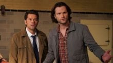 The Boys season 5 will have Jared Padalecki and Misha Collins! This is the full cast