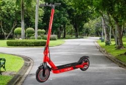 Este scooter Honey Whale para adulto tiene precio especial en Amazon Foto: Especial