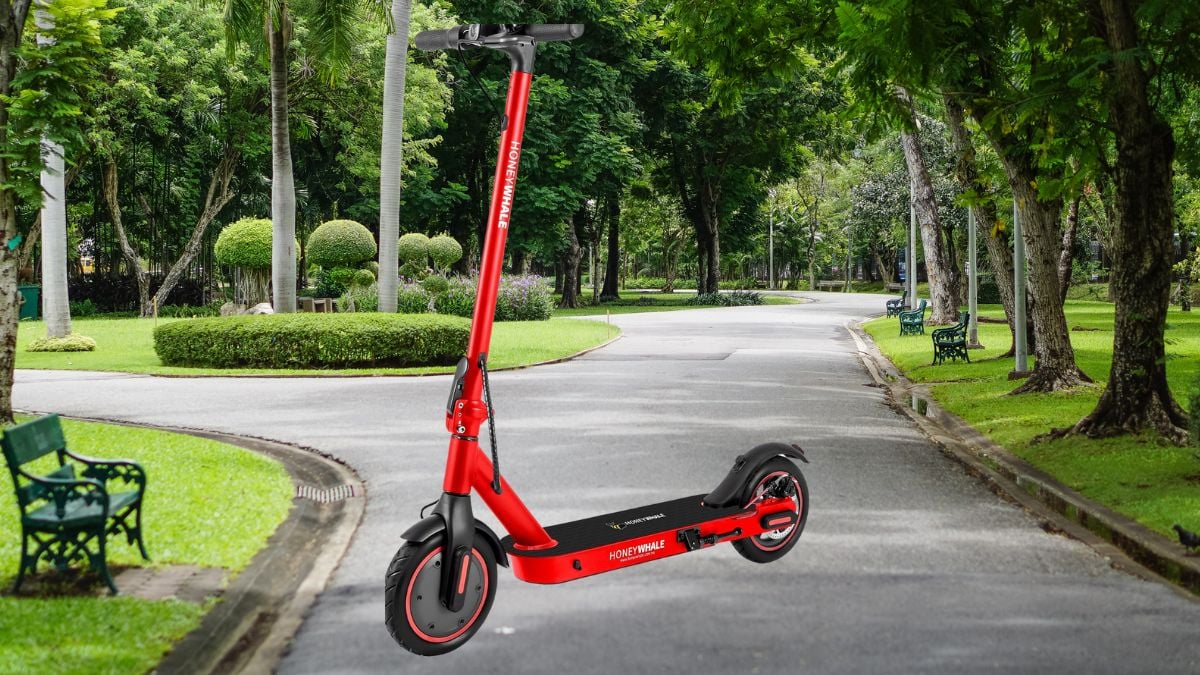 Este scooter Honey Whale para adulto tiene precio especial en Amazon Foto: Especial