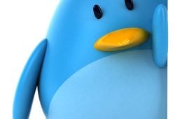 X rinde homenaje a Duolingo con el icónico pájaro azul de Twitter