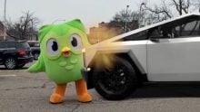 Who killed the Duolingo owl? Cause of death revealed ¿Quién mató al búho de Duolingo? Se reveló la causa de su muerte