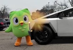 Who killed the Duolingo owl? Cause of death revealed ¿Quién mató al búho de Duolingo? Se reveló la causa de su muerte