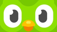 duolingo owl dead 2025