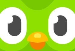 duolingo owl dead 2025