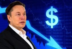 ELON MUSK TESLA DOWN MARKET STOCK 2025