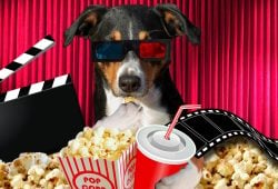 ¿A qué hora inicia la Fiesta Cinépolis 2025? Aquí te lo contamos Foto: Especial