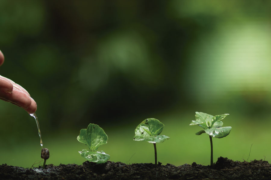 Marcas con propósito: Cambio climático