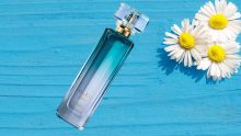 Regalo perfecto: Perfume L’BEL Bleu Femme con el 51% de descuento en Amazon por el DĂa de las Madres 2025 Foto: Especial