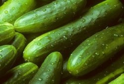 Cucumbers recalled due to salmonella outbreak! Check out which states