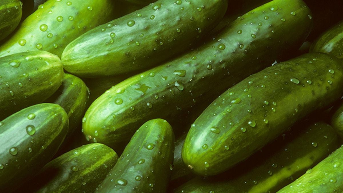 Cucumbers recalled due to salmonella outbreak! Check out which states