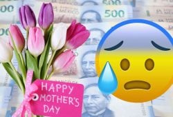 DIA DE LAS MADRES FESTEJO INFLACION 2025