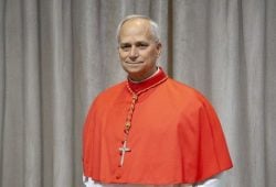 Leo XIV: Who Is the New American Pope? Career and Net Worth