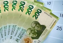 PTU UTILIDADES 6 MESES