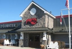 Red Lobster launches Cinco de Mayo meal deals! What's included?