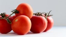 Salmonella-contaminated tomatoes recalled; where were they sold?