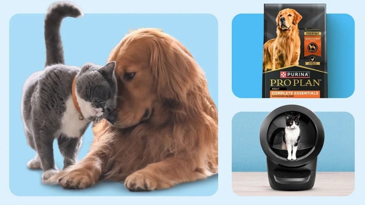 Walmart celebrates National Pet Month with savings and low prices! Here are the deals