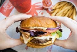 Wendy's burgers are coming to supermarkets! Where can you buy them?