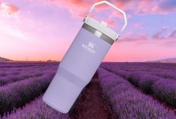 Día de las Madres 2025: Vaso Stanley Lavanda con el 22% de descuento en Amazon Foto: Especial