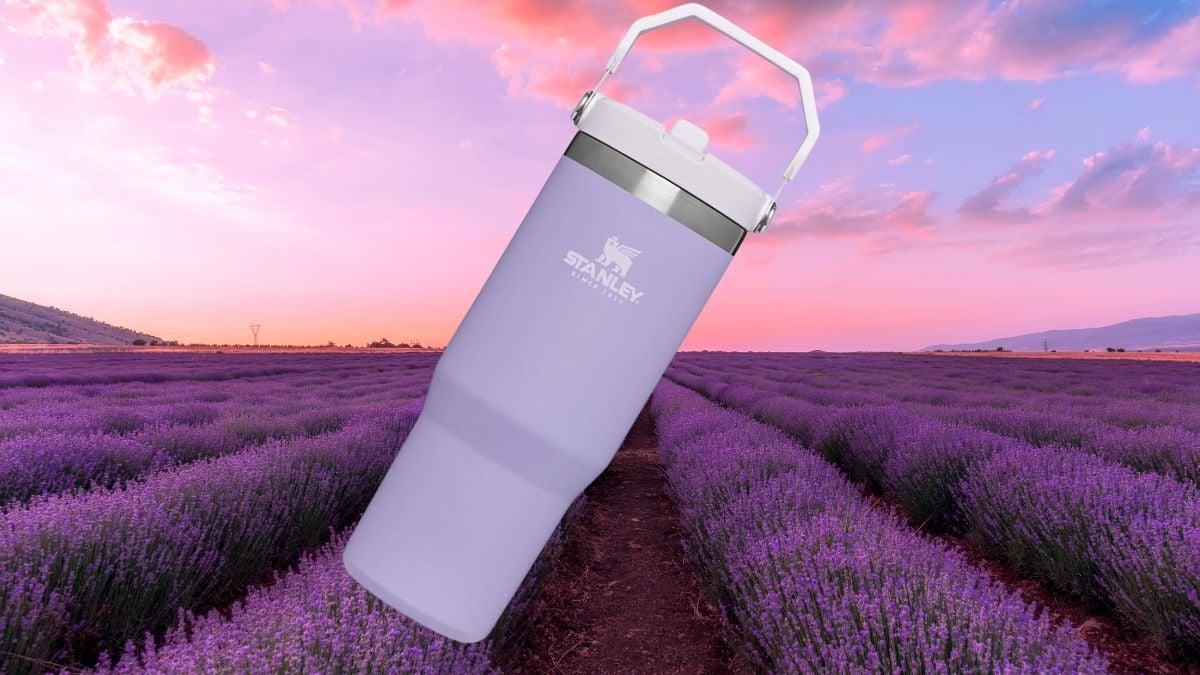 Día de las Madres 2025: Vaso Stanley Lavanda con el 22% de descuento en Amazon Foto: Especial
