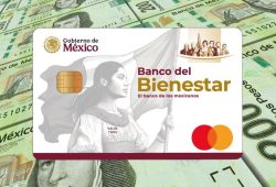 tarjeta del bienestar 2025
