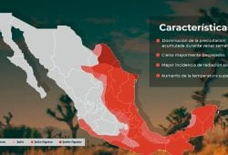 Canícula. Foto: Gobierno de México