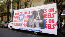 hill's on wheels 1
