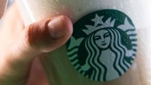 Día de la Dona 2025: Starbucks regalará donas este 6 de junio y así puedes obtener una Foto: Especial