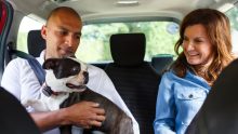 Uber Pets se consolida como la apuesta pet-friendly más fuerte de la movilidad en México Foto: Especial