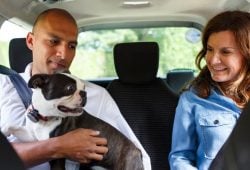 Uber Pets se consolida como la apuesta pet-friendly más fuerte de la movilidad en México Foto: Especial