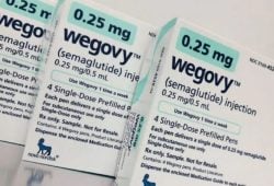 wegovy novo nordisk ceo renuncia