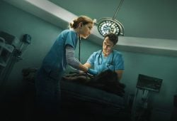 ¿Cuándo saldrá la temporada 2 de Pulso? Todo lo que debes saber sobre la serie de Netflix