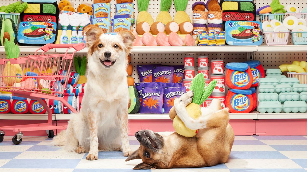 Bark could raise its prices due to tariffs! We'll tell you when