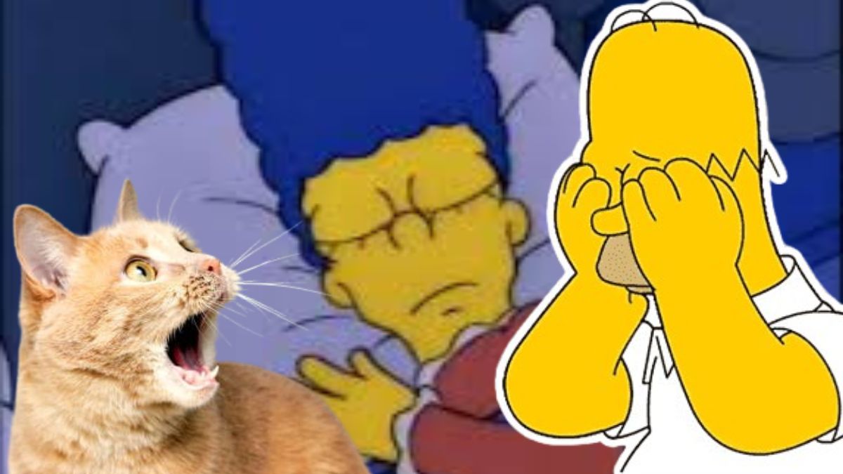Los Simpson
