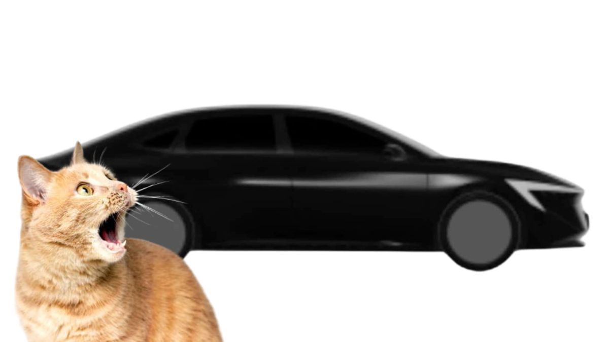 Sentra 2026