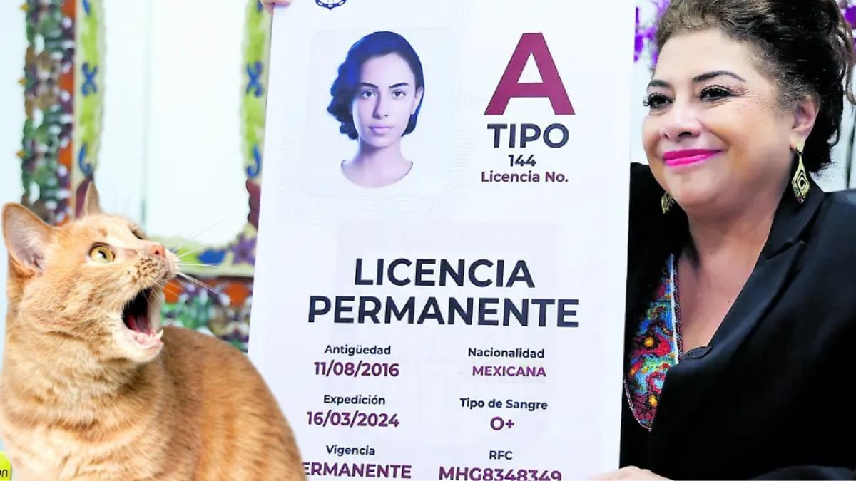 Licencia permanente