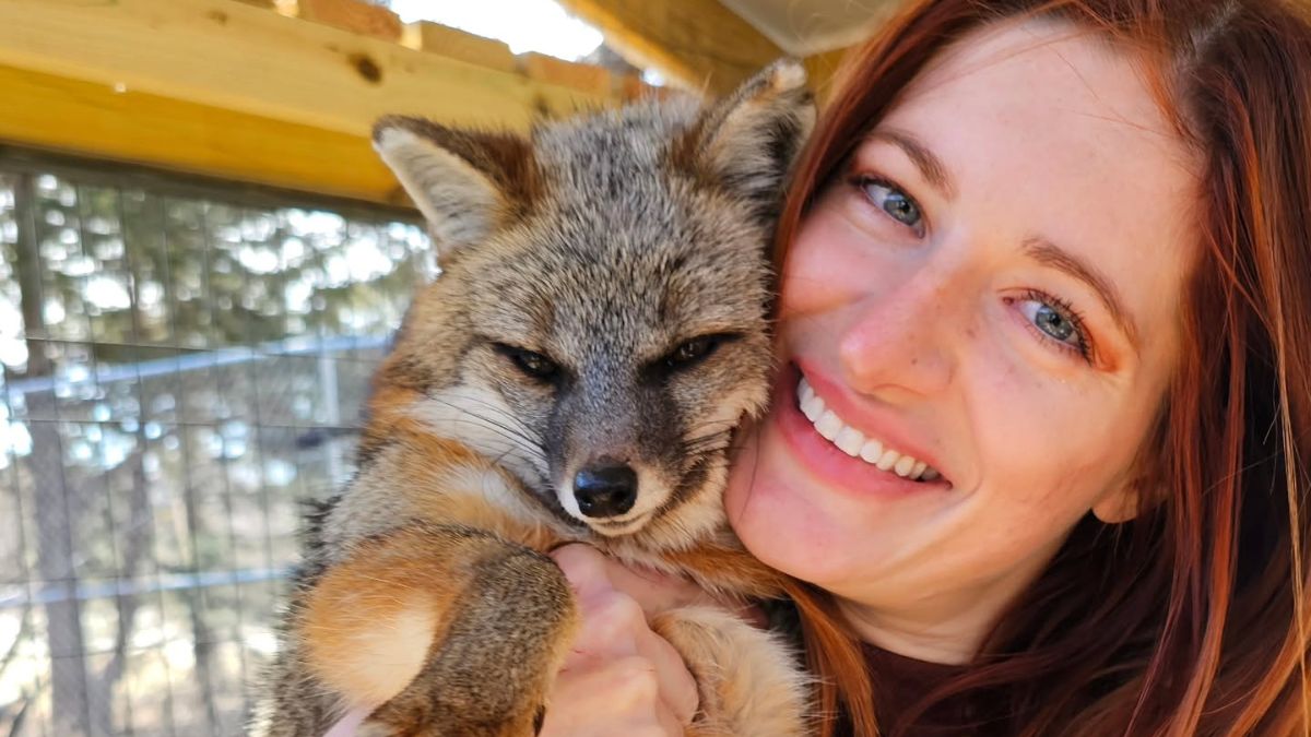 Mikayla Raines save a fox