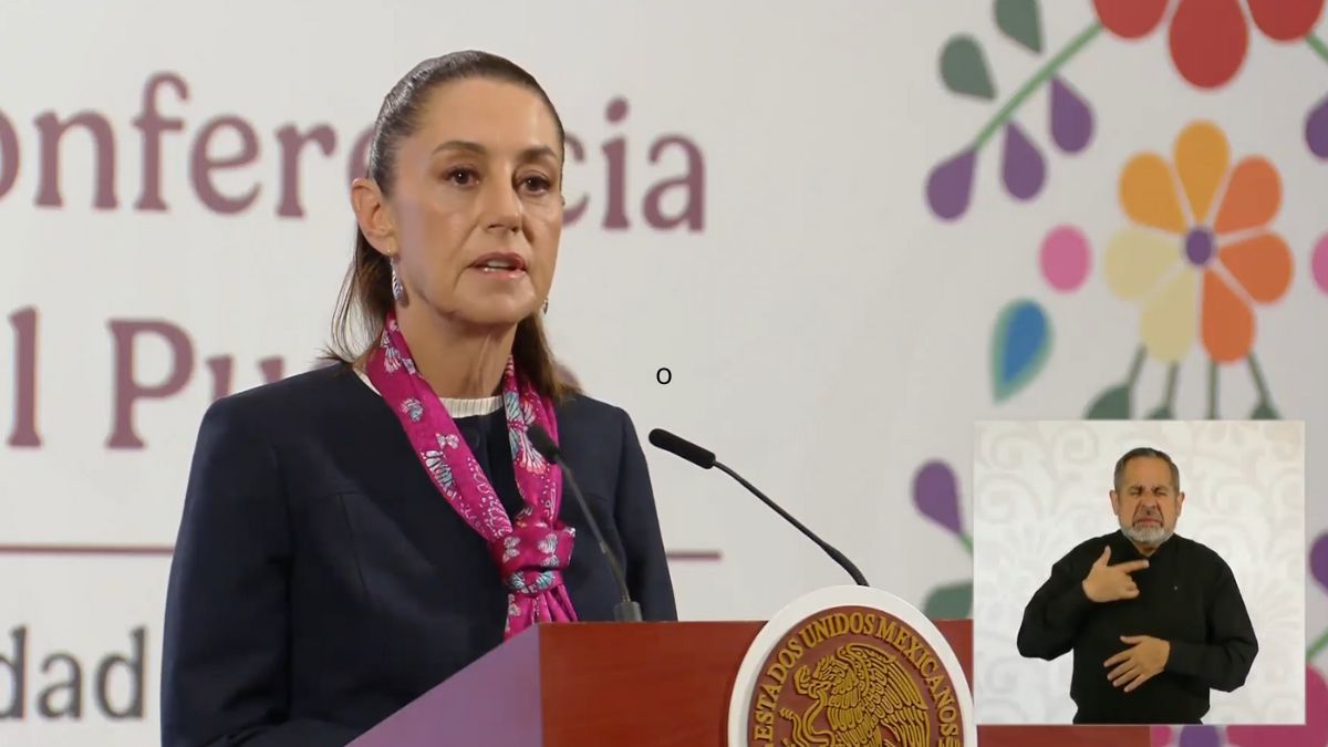 Claudia Sheinbaum firmará decreto para la edad de jubilación de maestros: Aquí te lo explicamos Foto: Especial