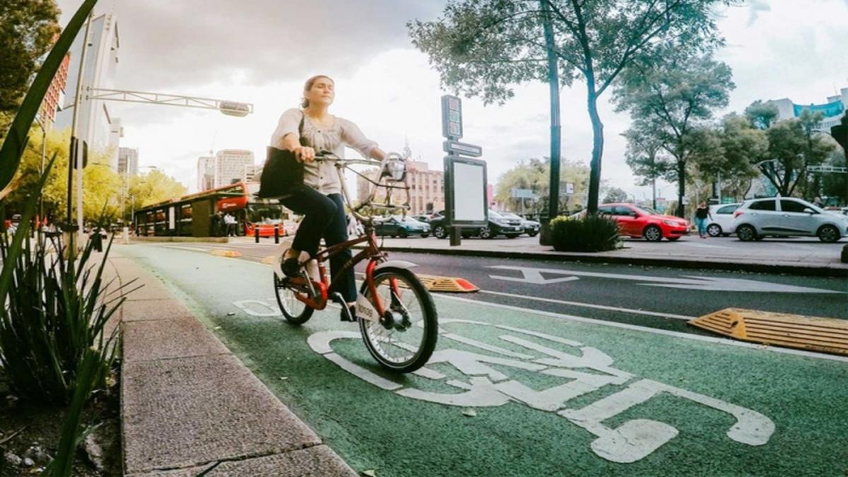 Licencia para bicicletas