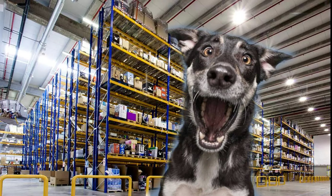 Bodega Amazon en CDMX causa furor por lo barato