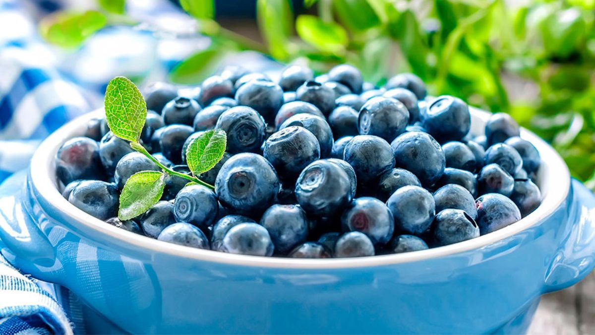 FDA raises health alert over contaminated blueberries! Here's what we know