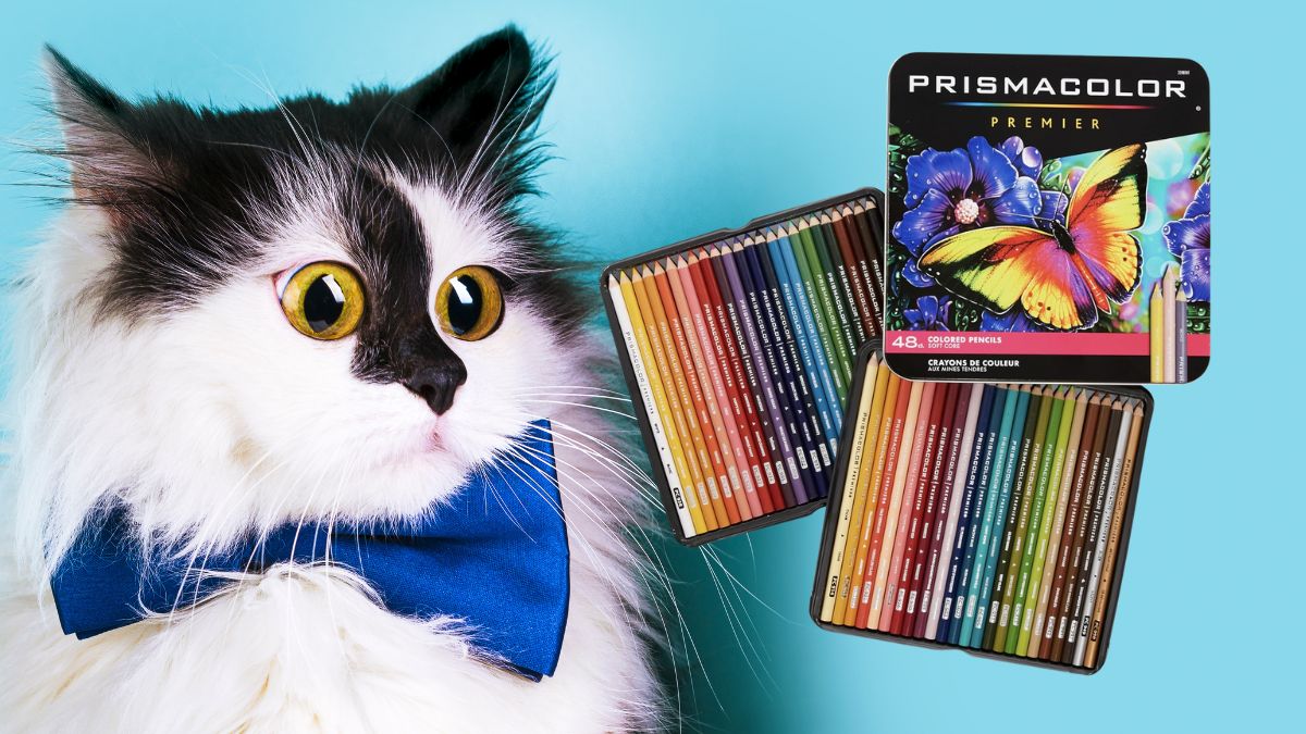 LAPICES DE COLORES PRISMACOLOR 48