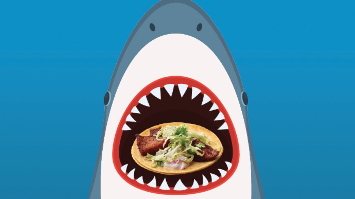 Shark Week returns to California Tortilla! Check out the promos
