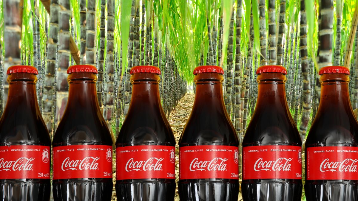 coca cola sugar