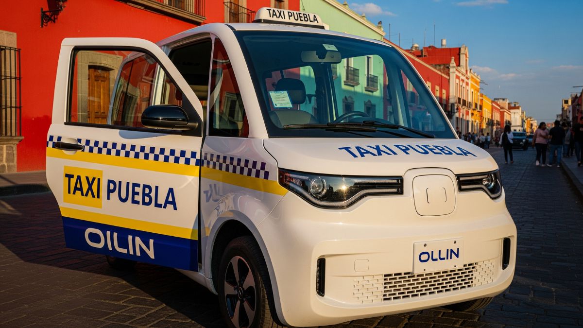 Olinia. Cortesía Gemini IA