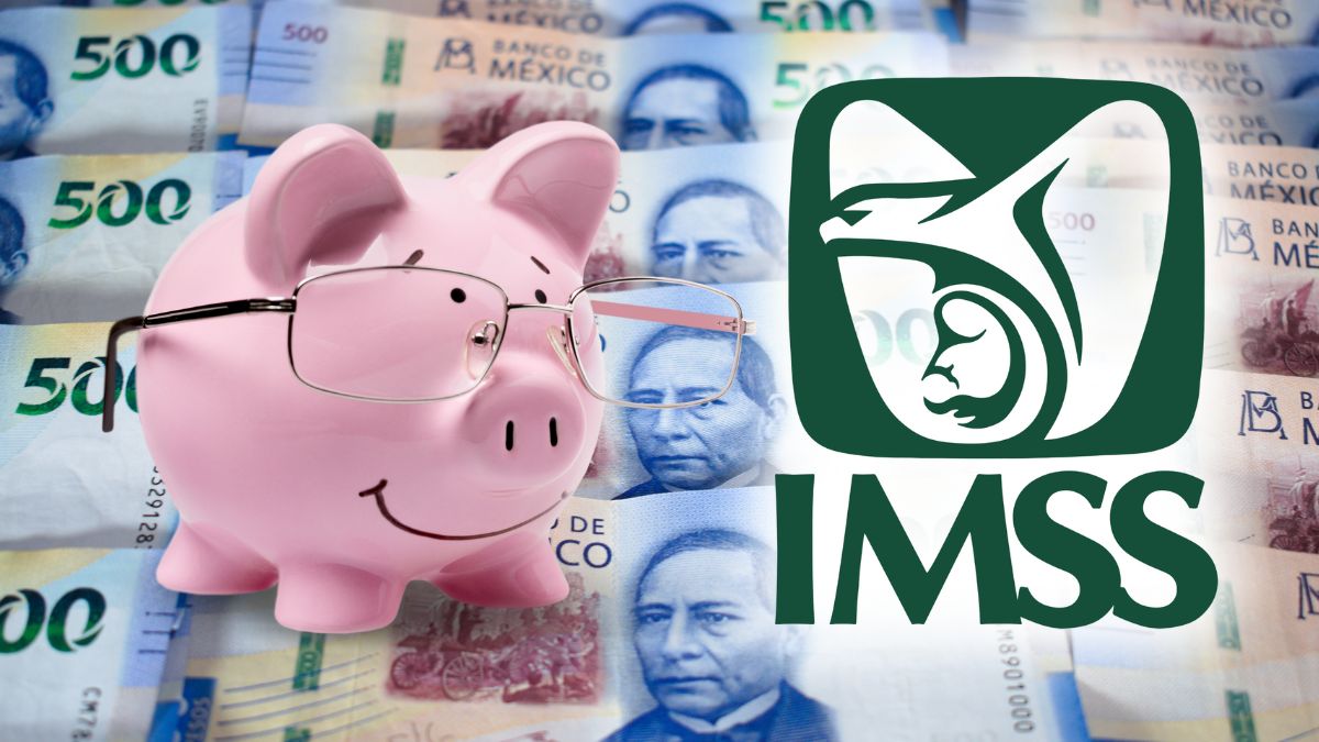 IMSS PENSION VITALICIA 2
