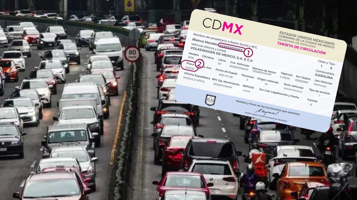 Tarjeta de circulación CDMX - CANVA