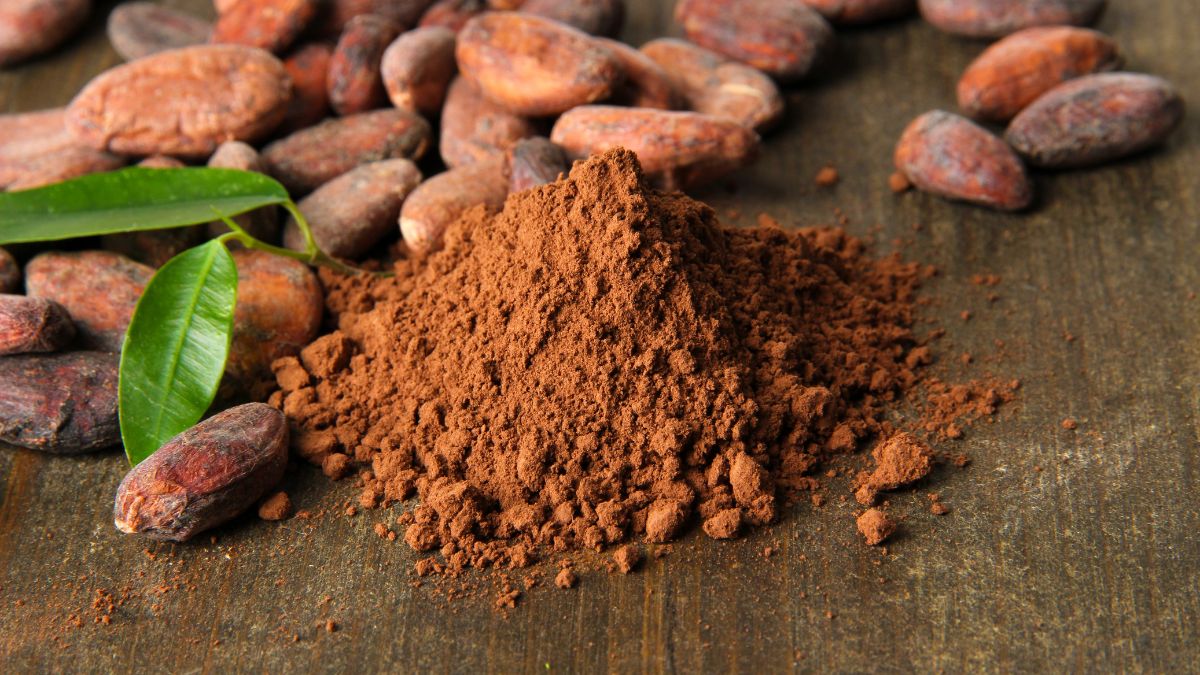 chocolate en polvo profecco canva