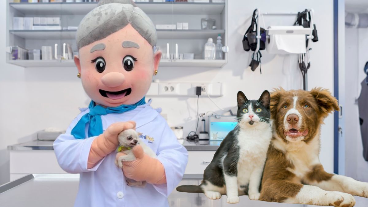 x¡YA ES OFICIAL! Dra. Lares será la imagen de SimiPet Care, así lo anunció Víctor González Herrera Cortesía: Marca / Canva