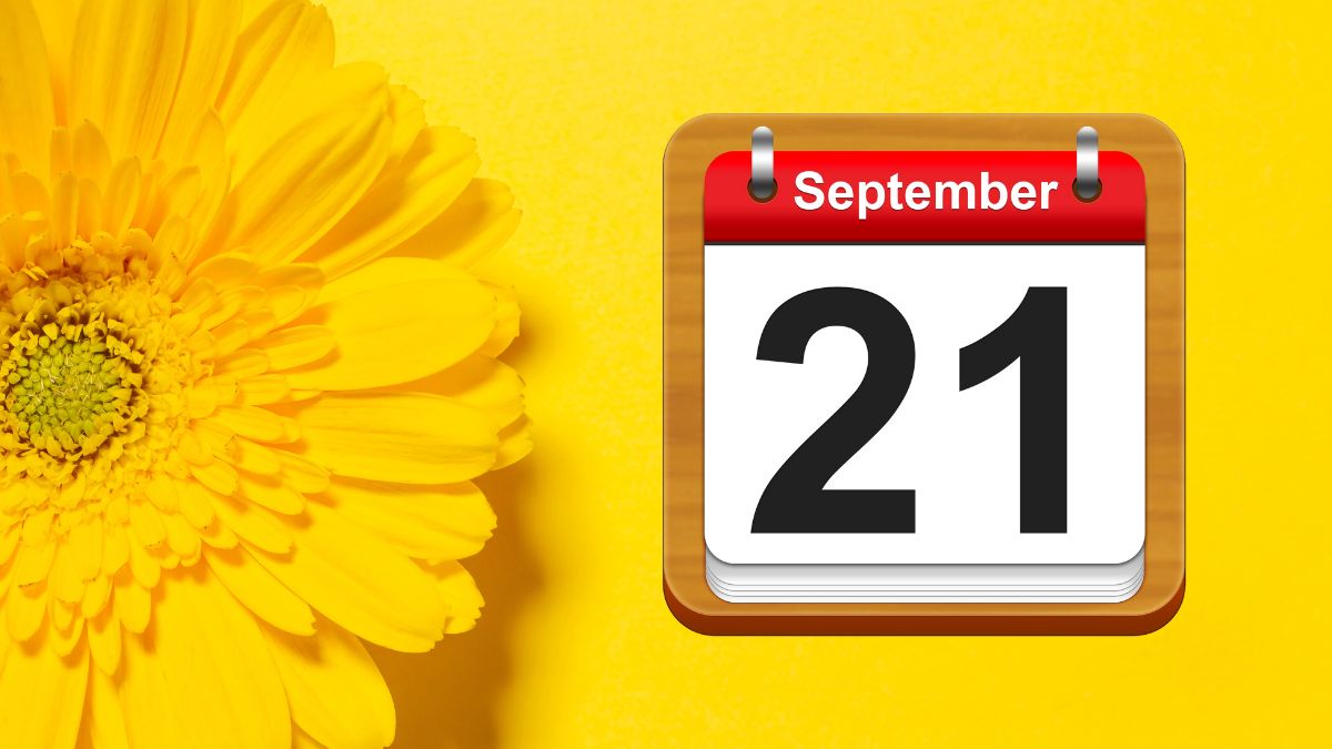 21 SEPTIEMBRE FLORES AMARILLAS